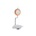Báscula capacidad 10 kg mecánica colgante, TRUPER