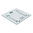 Báscula digital para baño 180 kg, transparente, FOSET BASIC