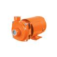 Bomba centrífuga para agua, 3/4 HP, TRUPER EXPERT