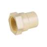 Conector hembra de CPVC 3/4', FOSET