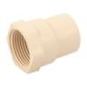 Conector hembra de CPVC 1', FOSET