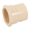Conector hembra CPVC 2', FOSET