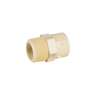 Conector macho de CPVC 3/4', FOSET