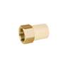 Adaptador hembra de CPVC 3/4' con inserto y tuerca de latón