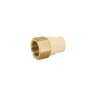 Adaptador hembra de CPVC 1-1/4'con inserto y tuerca de latón