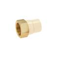 Adaptador hembra de CPVC 1-1/2'con inserto y tuerca de latón