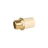 Adaptador macho de CPVC 3/4' con inserto y tuerca de latón