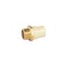 Adaptador macho de CPVC 1-1/4' con inserto y tuerca de latón