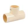 Tee sencilla de CPVC de 2', FOSET