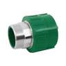 Adaptador PPR 2' macho con inserto metálico, FOSET