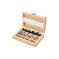 Juego de 5 brocas forstner para madera, TRUPER