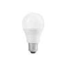 Foco LED 14W (100W) A19, 6500K blanca fría, 1500 lm, caja