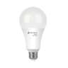 Foco LED 18W (125W) A25, 3000K blanca cálida, 1800 lm, BASIC