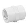 Adaptador hembra de PVC 1', FOSET