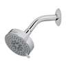 Regadera cromo 4'con 5 funciones, con brazo, FOSET ELEMENT