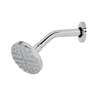Regadera cromo 4' plato redondo, con brazo, FOSET ELEMENT